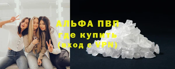 сатива Абинск