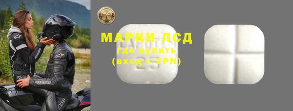сатива Абинск
