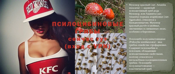 МДМА Протвино